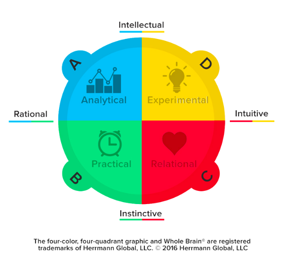 Unleash Thinking Potential with Whole Brain® Thinking